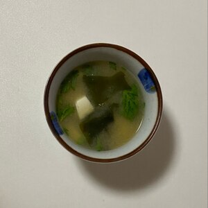 玉ねぎとモロヘイヤと豆腐とワカメのお味噌汁